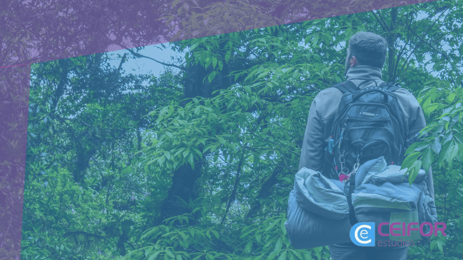 Técnico Superior en Gestión Forestal y del Medio Natural